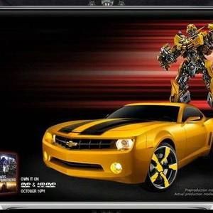 Meet your Posher, Baamy